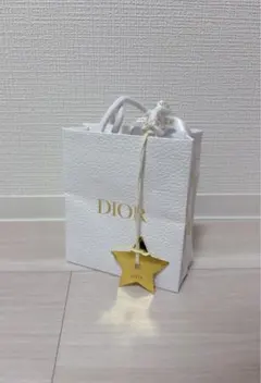 Dior 紙袋