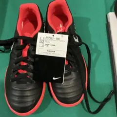 Item thumbnail for item f131d025-2413-44ac-a76a-f8bec911dd45