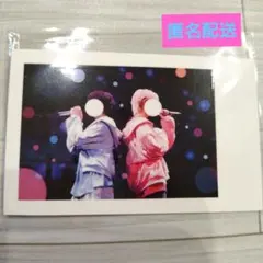 いれいす ないむ ないこ -hotoke-ほとけ いむ実写ランダムチェキ風トレカ