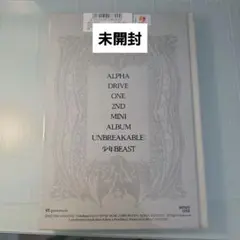 新品未開封　Frgile beast 少年beast ald1 アドワン　トレカ