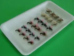 Item thumbnail for item cb20fccf-e2db-4bc4-a35a-bff54dda4f79