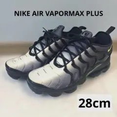 NIKE AIR VAPORMAX PLUS グレー/ブラック28cm