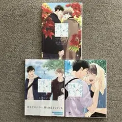 雨上がりの僕らについて 1・2・ever after 3冊セットで