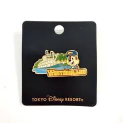 ディズニークルーズ アドベンチャー号 限定ピン | Mercari