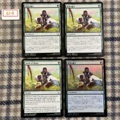 希望の種子/Seed of Hope