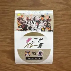 SVリーグ ハイキュー!!コラボ 春こそバレー祭 ステッカー　VC長野