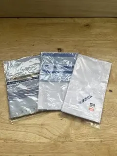 Item thumbnail for item 0806e575-a729-4400-84db-4375e3070c2e