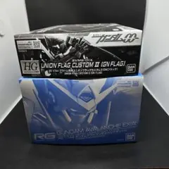 RG ガンダムアヴァランチエクシア ＆ HG GNフラッグ 2種セット