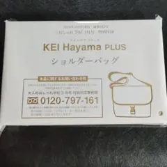 大人のおしゃれ手帖付録　KEI Hayama PLUS ショルダーバッグ