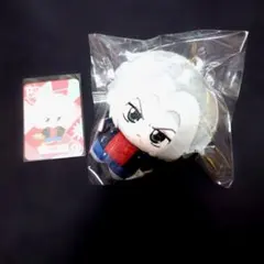 家庭教師ヒットマンREBORN! 中国限定 ぬいぐるみ 獄寺隼人 - メルカリ