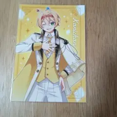 ブロマイド