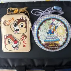 東京ディズニーランド　カードケース　チケット入れ