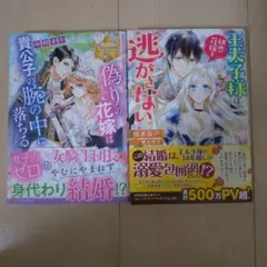 恋愛小説 2冊セット 偽りの花嫁 王子様は逃がさないのサムネイル