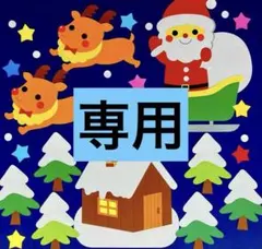 きょん様 リクエスト 2点 まとめ商品