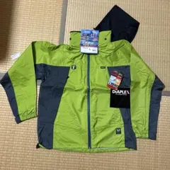 Item thumbnail for item 5509d657-dc9f-460c-9e28-d1d31427c4b5