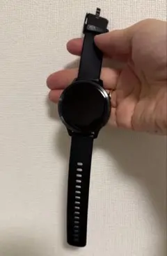 ガーミン　venu4