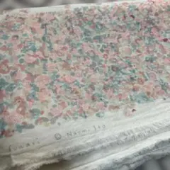 Item thumbnail for item 5441f6cf-8d5b-4e86-abaf-1b3db73288aa