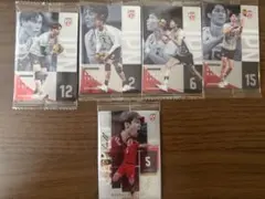 バレーボール日本代表 トレーディングカード