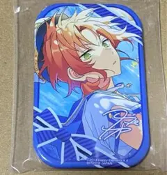 あんスタ 月永レオ イベコレ 缶バッジ summer 24点 月永レオ 缶バッジ 【セット】 あんさんぶるスターズ イベコレ缶