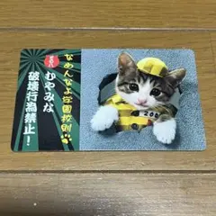 なめ猫　津田覚　なめんなよ