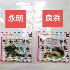アドベンチャーワールド モーテルキーホルダー 良浜 結浜 彩浜 - メルカリ