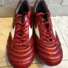 モレリア2japan40周年カラー