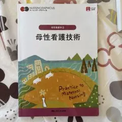 母性看護技術 = Practice to Maternal Nursing