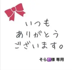 そら☪様 リクエスト 2点 まとめ商品
