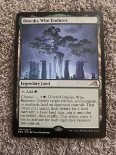 2025年最新】母聖樹の人気アイテム - メルカリ