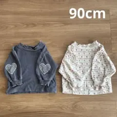 ベビートレーナー2枚セット 90cm