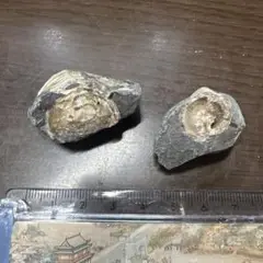 原石2個セット