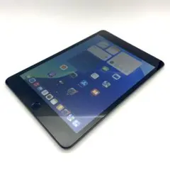 iPad mini 第5世代 スペースグレー 64GB　Wi-Fiモデル