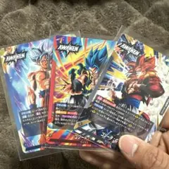 【最安値】リーダーセット　デュアルエボリューション　DUAL EVOLUTION