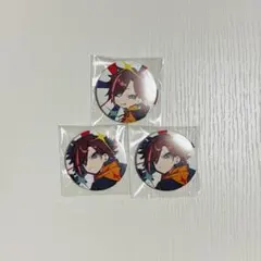 CRフェス 2024 缶バッジ kinako きなこ 等身 ホロ SD - メルカリ