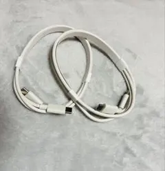 USB Type-C 充電ケーブル ホワイト 2本セット