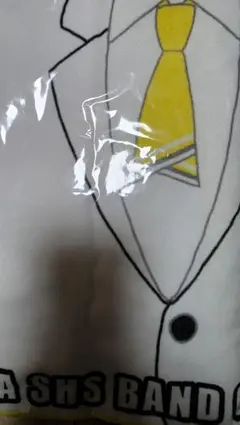 Item thumbnail for item fd2d5e3d-2a72-473e-bf0a-2f64b6c4f41f