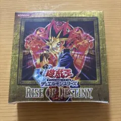 遊戯王 RISE OF DESTINY 未開封 BOX 2026年最新】RISE OF DESTINYの人気アイテム - メルカリ