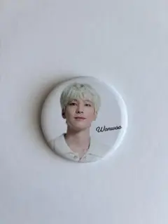 SEVENTEENウォヌ　缶バッジ