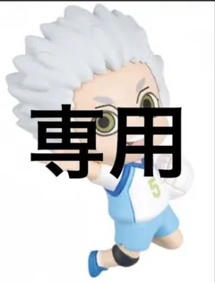 専用