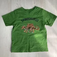 GUスピノサウルス Tシャツ サイズ120 緑