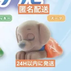 ●新品●パウパトロール●すやすやフロッキーソフビ●ズーマ