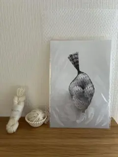 新品　小さな毛糸だま 2つ ＋ ポストカード2枚saksumi さん ニット