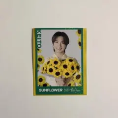 2026年最新】木村慧人 フォトカード シクレの人気アイテム - メルカリ