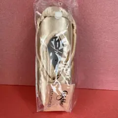 Item thumbnail for item 0080f923-fbab-40bc-8f7a-0716ce6d79a4