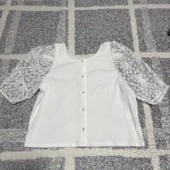 Item thumbnail for item 0e3c5fa2-2a5e-434f-b946-a623ec692fb3