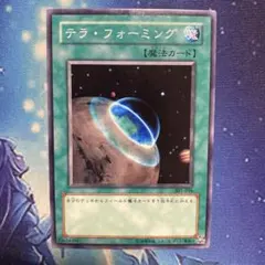 テラフォーミング 301 ノーマル