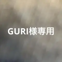 GURI様専用）A W S ク ラ ウ ド プ ラ ク テ ィ シ ョ ナ ー