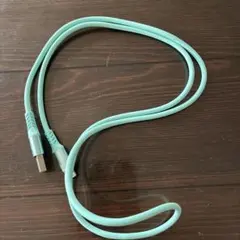 USB ライトニングケーブル1メートル　ライトグリーン