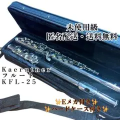 【超美品】 Kaerntnerフルート Eメカ KFL-25 ケルントナーのサムネイル