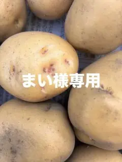 まい様専用